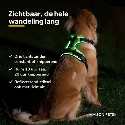 Oplaadbaar lichtgevend hondentuig — USP-infographic met hond in het donker in groen LED-tuig en drie voordelen