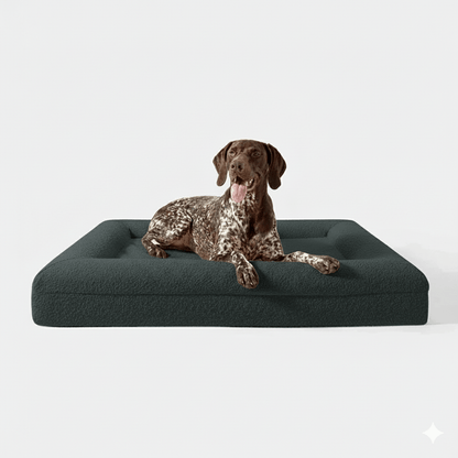 Orthopedisch hondenbed geheugenfoam — steun voor stijve gewrichten