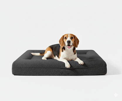 Orthopedisch hondenbed geheugenfoam — steun voor stijve gewrichten