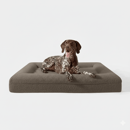 Orthopedisch hondenbed geheugenfoam — steun voor stijve gewrichten