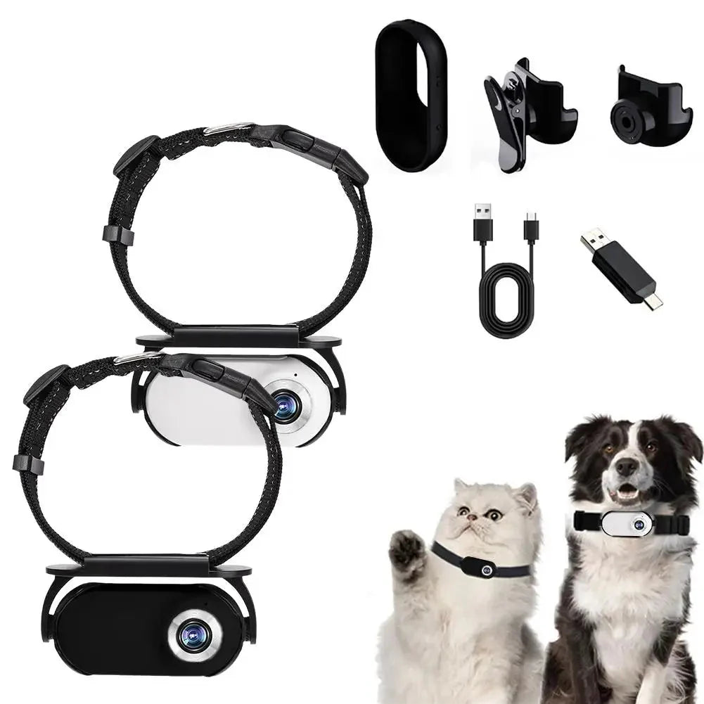 Halsbandcamera voor kat en hond — zie waar je maatje naartoe gaat