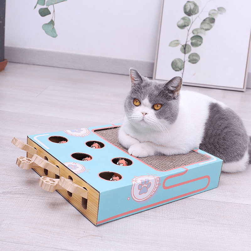 Krabmat met speelelementen voor katten