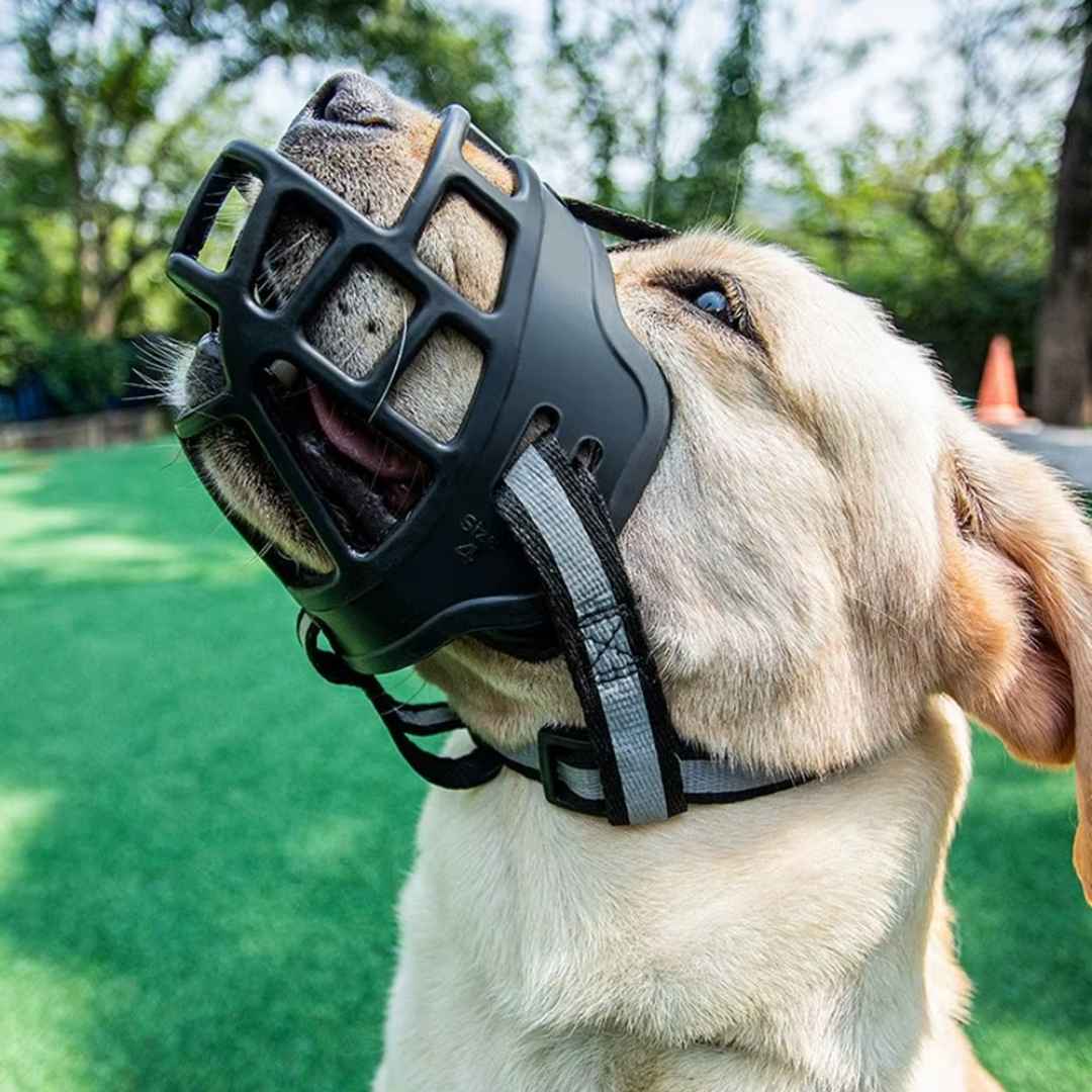 Muilkorf voor hond, mand-model