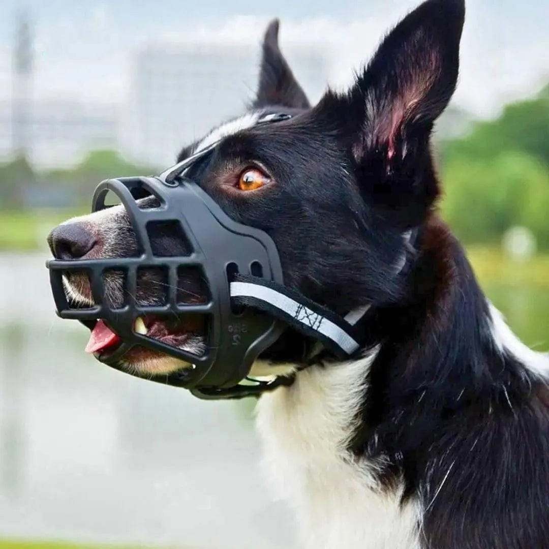 Muilkorf voor hond, mand-model
