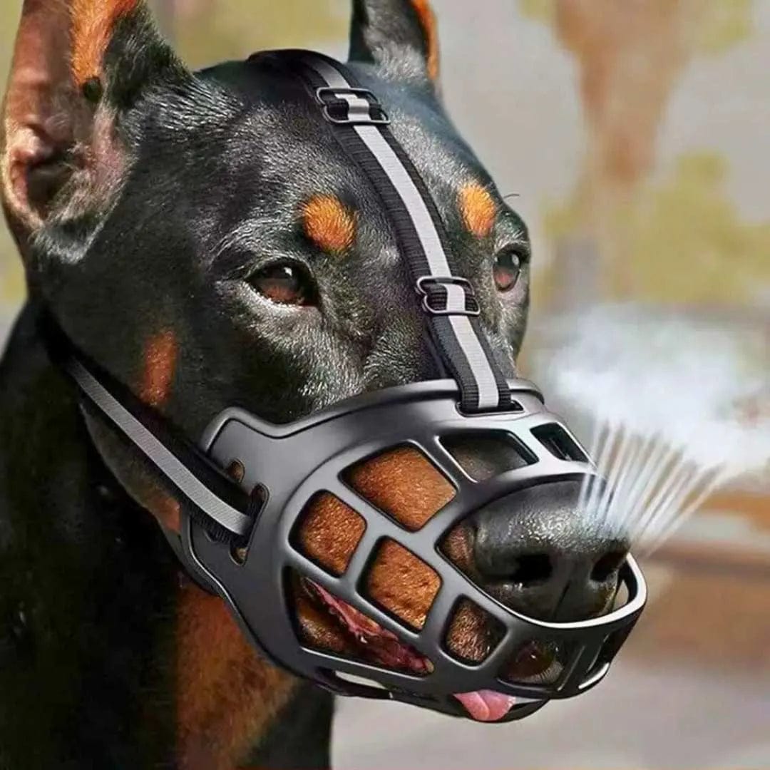 Muilkorf voor hond, mand-model