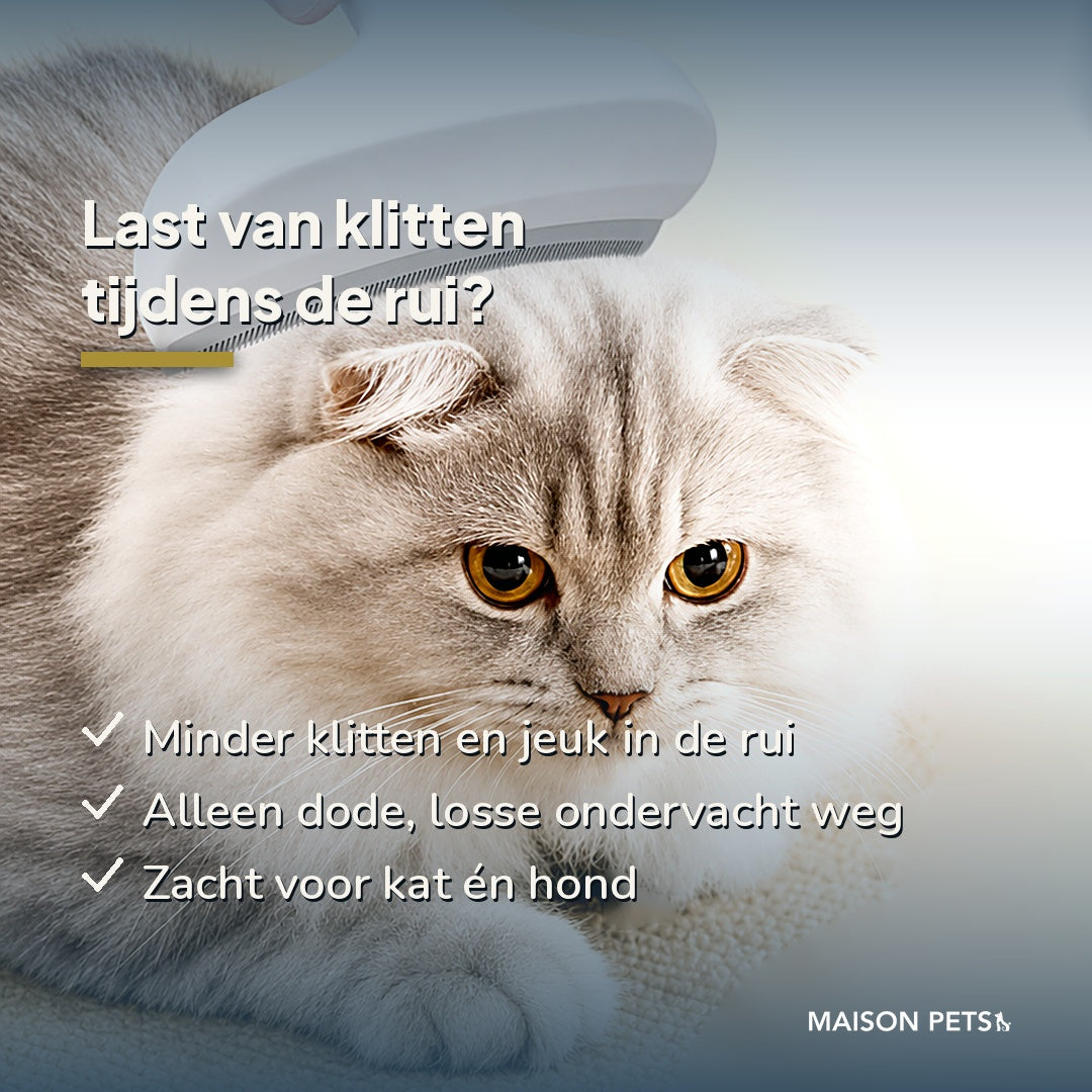 Brede ondervachtkam kat en hond — infographic met lichtgekleurde kat, drie voordelen tegen klitten bij de rui