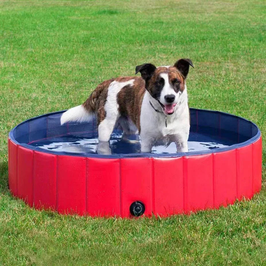 SplashPool opvouwbaar hondenbad — compact opgevouwen voor opbergen