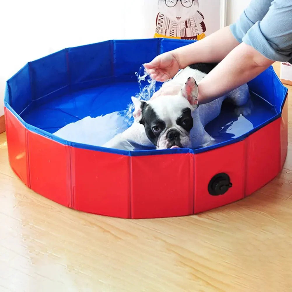 SplashPool zwembad hond maten 60x20 en 80x20 cm — maatoverzicht