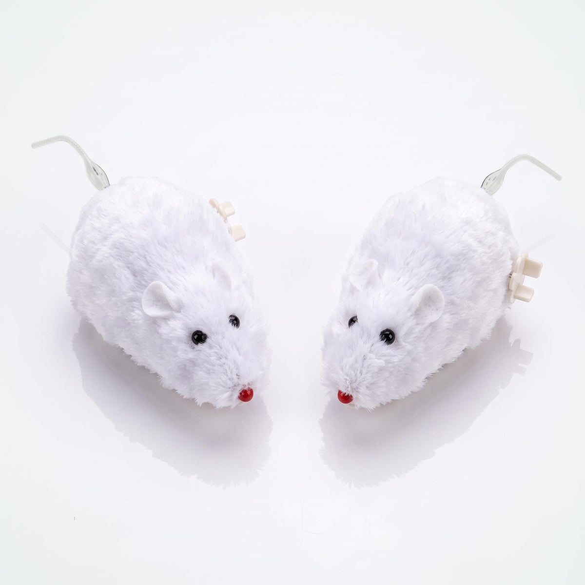Twee witte opwindbare muizen, kattenspeelgoed per 2 stuks, van bovenaf gezien