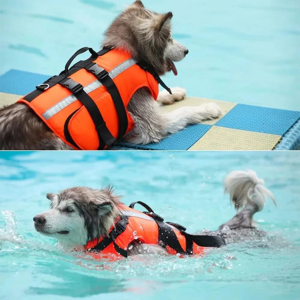 SwimSafe zwemvest hond oranje — hond draagt vest op het strand