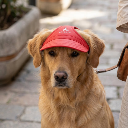 DogCap - Beschermt de ogen en snuit van jouw hond tegen de zon.