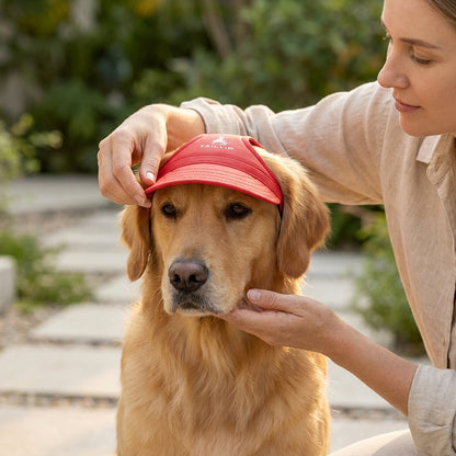 DogCap - Beschermt de ogen en snuit van jouw hond tegen de zon.