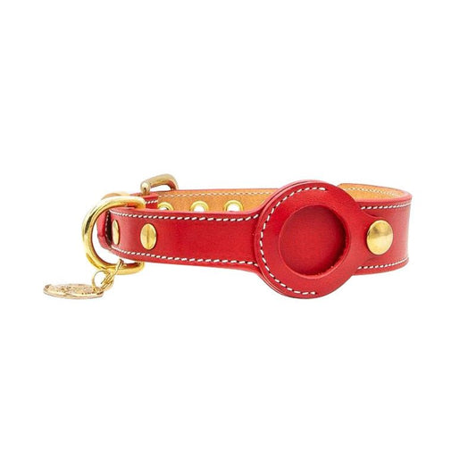 TrackTag hondenhalsband met AirTag in gebruik — hond in bos met leren halsband