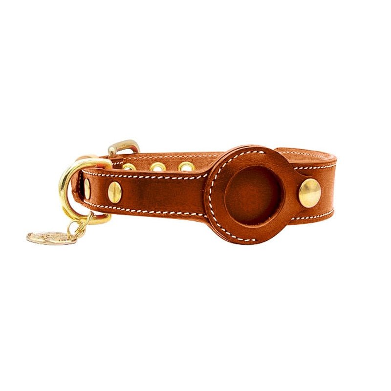 TrackTag leren hondenhalsband groen — verstelbare messing gesp close-up