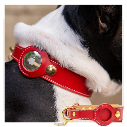 TrackTag hondenhalsband vier kleuren — rood bruin groen zwart naast elkaar