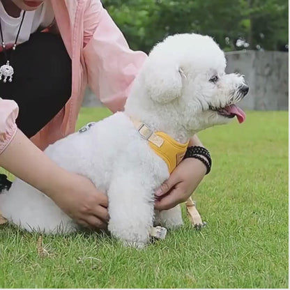 FitWalk - Optimale bewegingsvrijheid bij elke stap