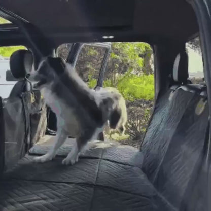 CarBuddy premium automat hond — schone auto, rustige hond