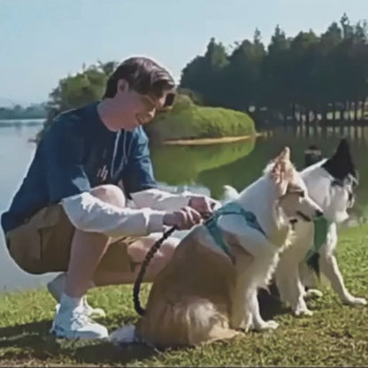 DuoWalk dubbele hondenlijn — wandelen met 2 honden zonder verstrengeling