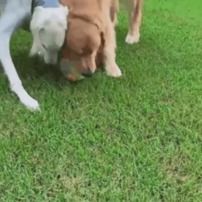 ChewBall kauwspeelgoed hond — stevig bijten, meubels blijven heel