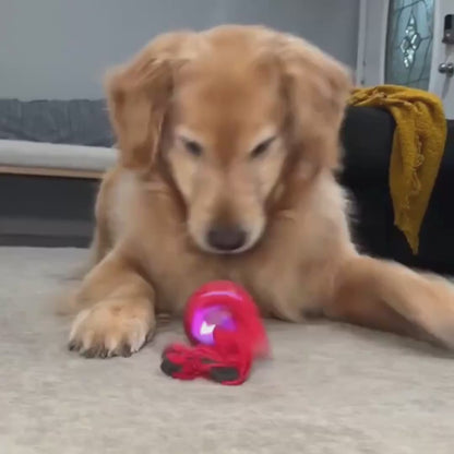 HuntBall - Interactief spel voor je hond, ook zonder jou.