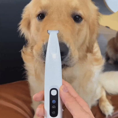 PetTrim trimmer hond en kat — stil, voor poten en gevoelige zones