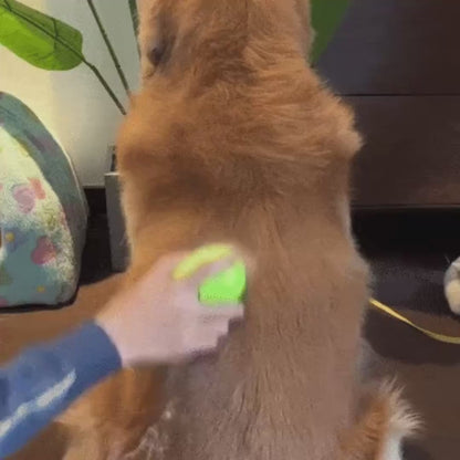 SteamBrush Stoomborstel — zachte siliconen tanden voor hond en kat