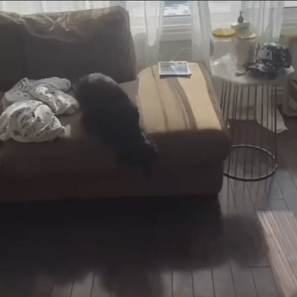 PetNest honden- en kattenbed — hoge randen, machinewasbaar