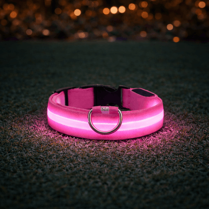 LumiGuard™ LED Halsband - Veilig en zichtbaar in het donkerMaison Pets22371VD1762219582-XS-28-38cmRozeXS (nekomvang: 28 - 34cm)