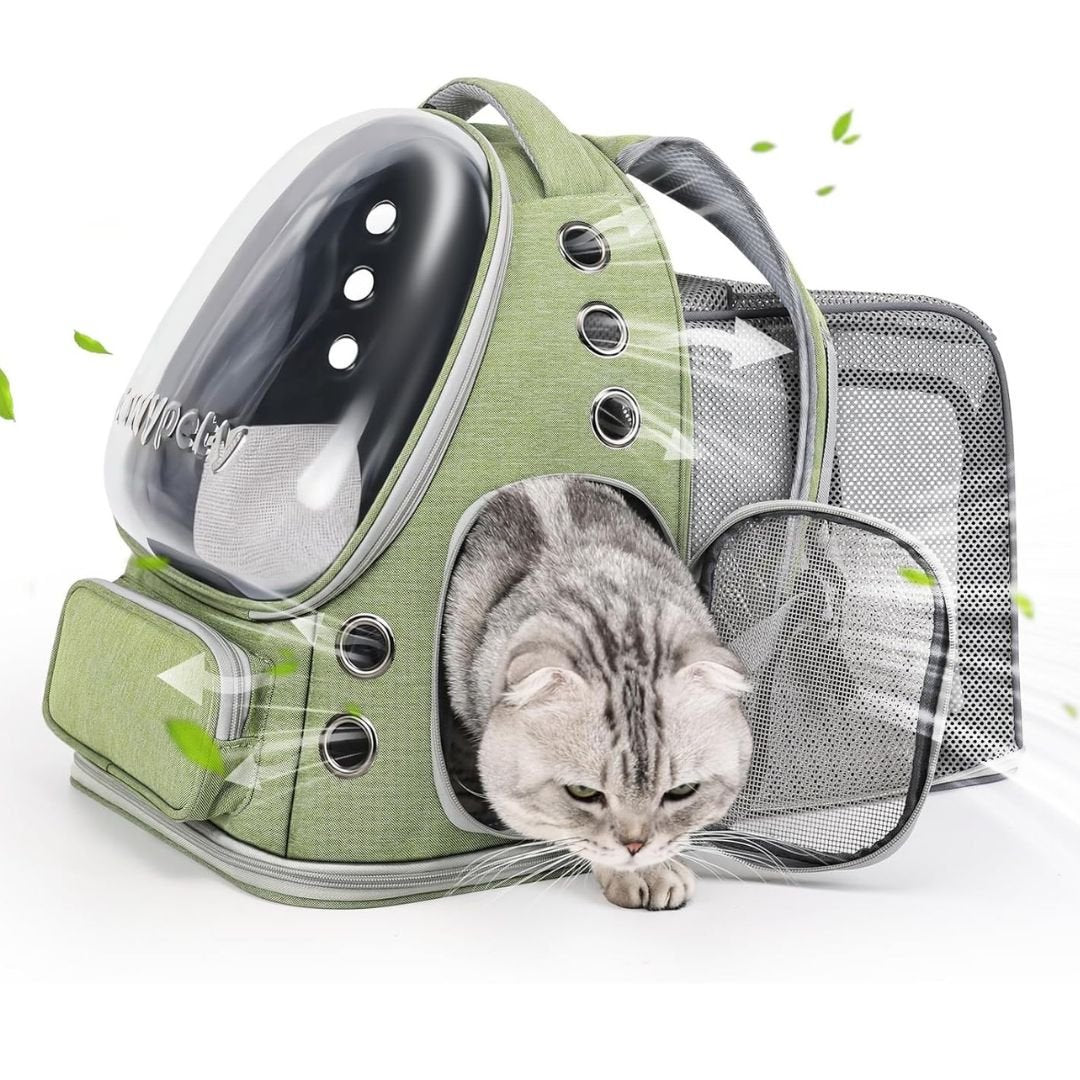 PetSpace™ - samen op pad, veilig comfortabel en zonder gedoe.Maison PetsGroen
