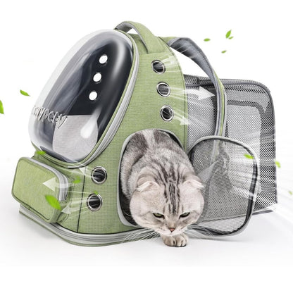 PetSpace™ - samen op pad, veilig comfortabel en zonder gedoe.Maison PetsGroen