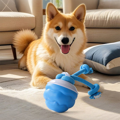 HuntBall™ - Interactief spel voor je hond, ook als jij er niet bij bent.Maison PetsLT10293171Blauw