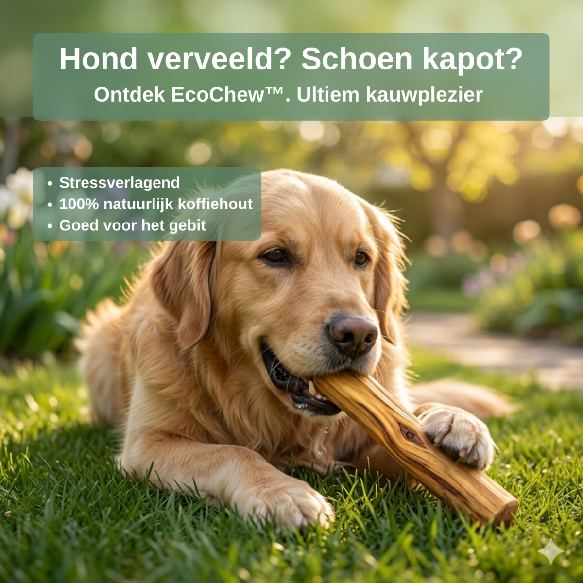 EcoChew™ - Veilig kauwen. Gezond gebit. Minder stressMaison Pets1005007493820438-WHITE-XXSNaturelXXS