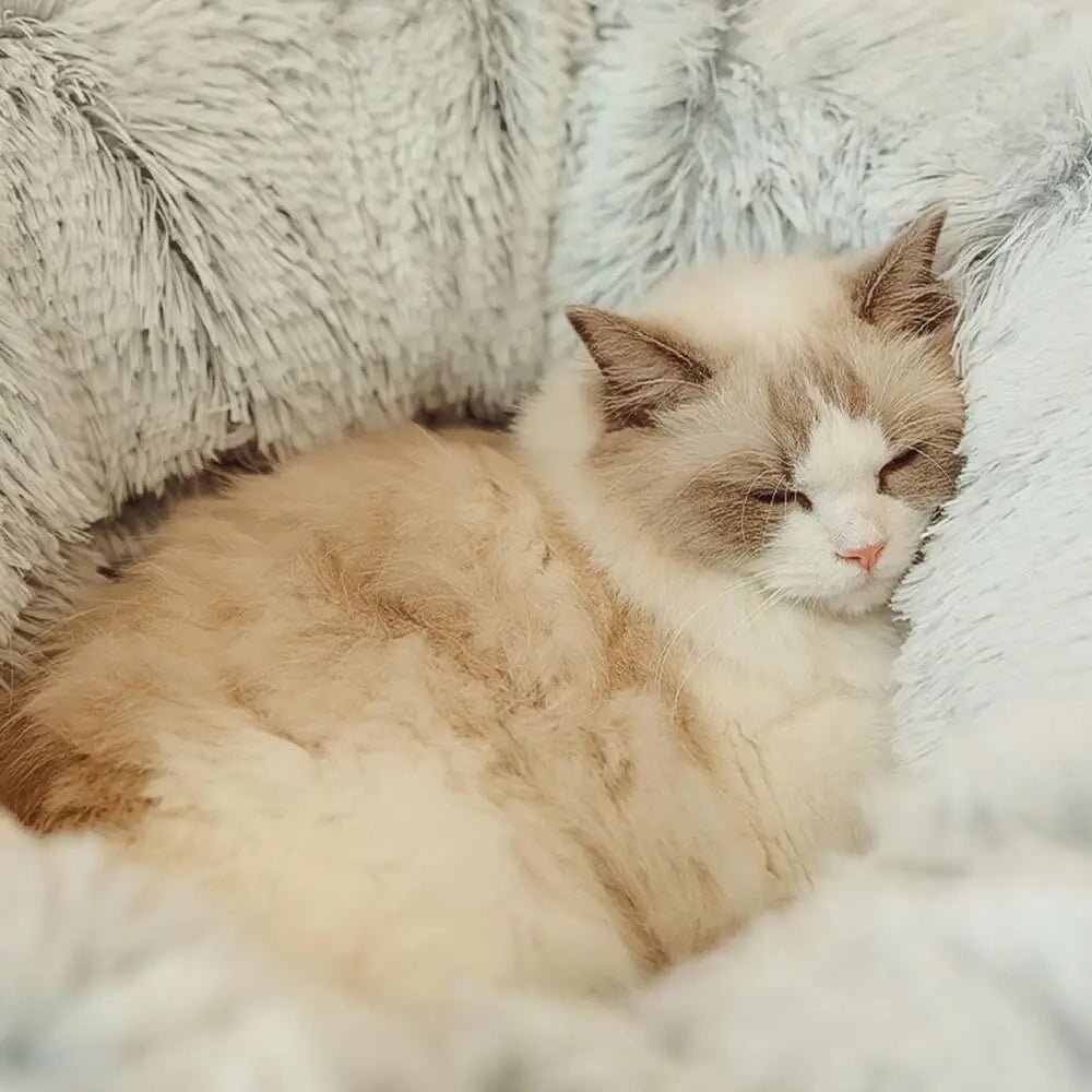 NestLoop™ - Rusten, spelen, verstoppen in één zachte wereld.Maison Pets5336502510445-V2Bont