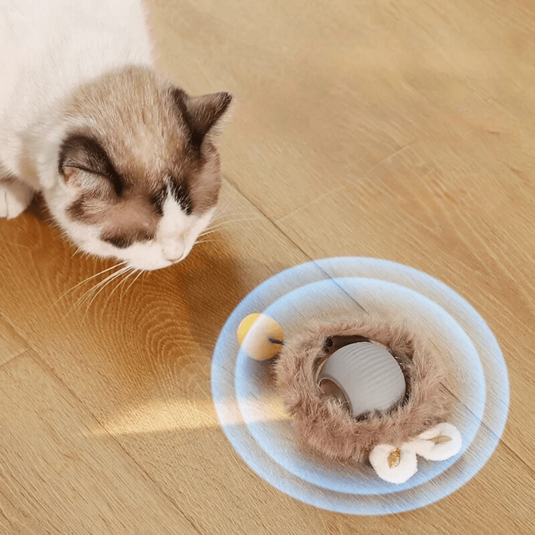 ChaseBall™ - De interactieve speelbal die verveling doorbreektMaison Pets5737856766887-V2Plushe / Grijs