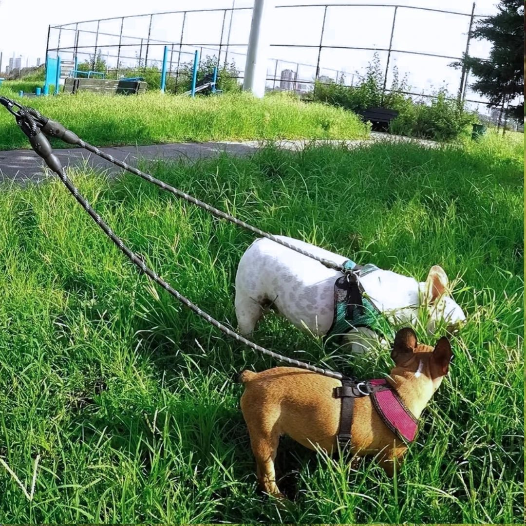 DuoWalk™ - Ontspannen wandelen met 2 hondenMaison Pets4776876665921-V2Rood