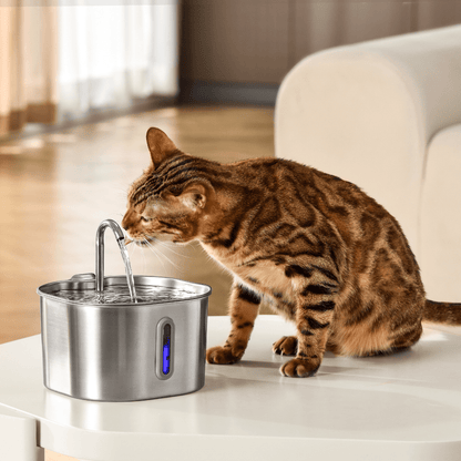 Vervangingsfilters voor PureDrink™ fontein - Altijd schoon gefilterd water voor jouw huisdierMaison Pets12x Filters voor 6 maanden