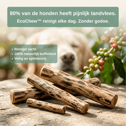 EcoChew™ - Veilig kauwen. Gezond gebit. Minder stressMaison Pets1005007493820438-WHITE-XXSNaturelXXS