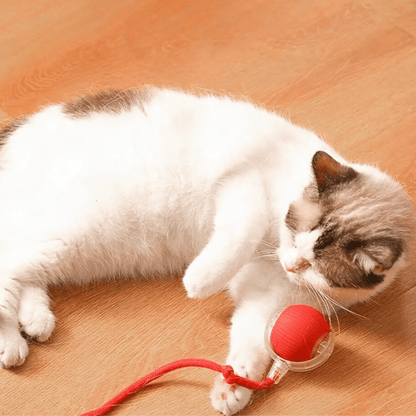 ChaseBall™ - De interactieve speelbal die verveling doorbreektMaison Pets5737856766887-V2Plushe / Grijs