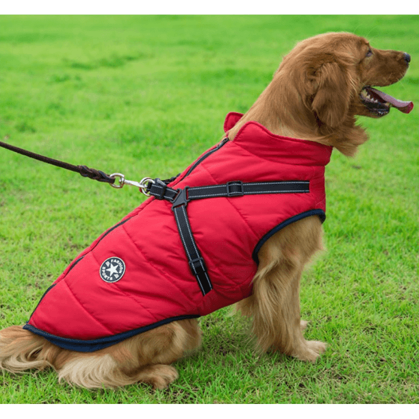 FurDry™ Waterproof Hondenjas - Warm en droog bij elk weertypeMaison PetsDog jacket-Christmas-SChristmasS