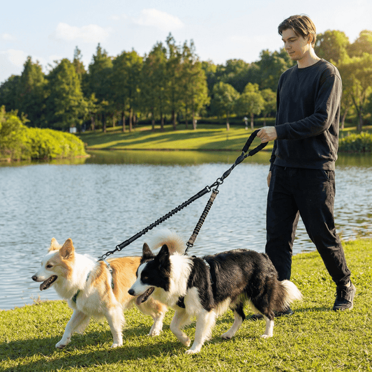 DuoWalk™ - Ontspannen wandelen met 2 hondenMaison Pets4776876665921-V2Rood