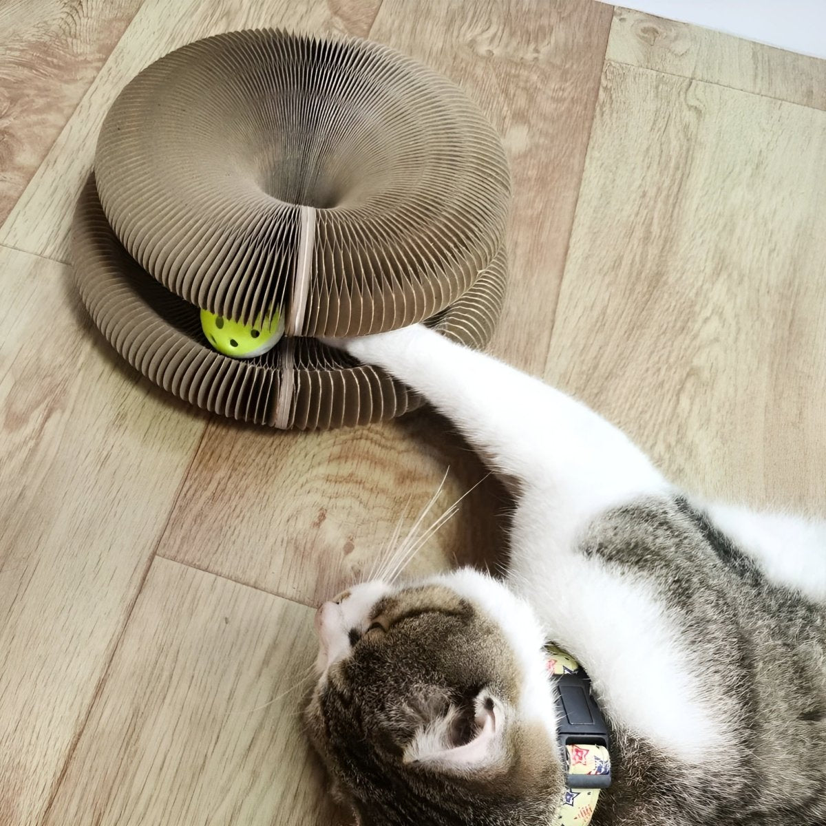 Magic Krabbord™ - Dé oplossing tegen verveling, stress en krabben aan meubels.Tijdelijk 1+1 GratisMaison Pets