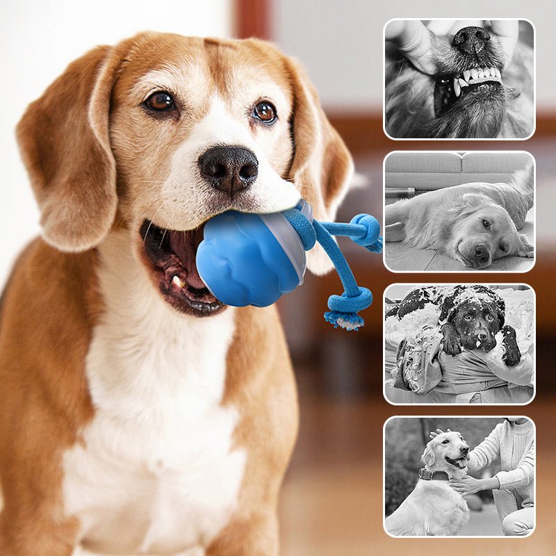 HuntBall™ - Interactief spel voor je hond, ook als jij er niet bij bent.Maison PetsLT10293171Blauw