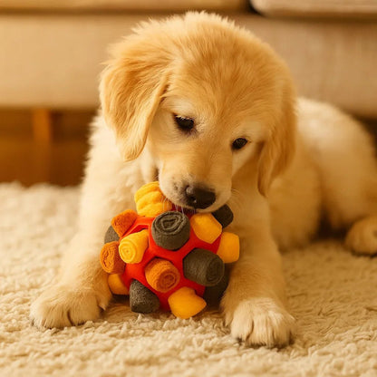 SnuffelTrainer™ – Weg met verveling, trakteer je huisdier op avontuurMaison Pets4913944377748Sunset