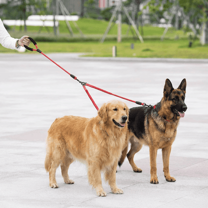 DuoWalk™ - Ontspannen wandelen met 2 hondenMaison Pets4776876665921-V2Rood