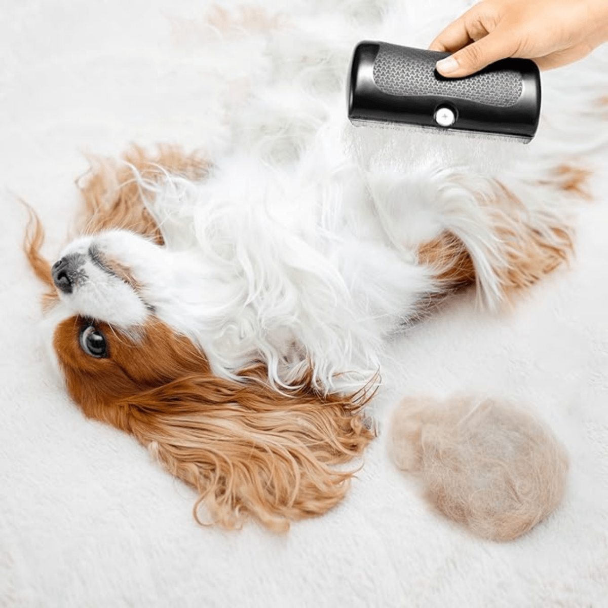 GlowBrush™ - Ontspannen borstelen, glanzende vacht.Maison Pets1009