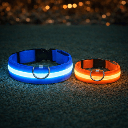 LumiGuard™ LED Halsband - Veilig en zichtbaar in het donkerMaison Pets22371VD1762219582-XS-28-38cmRozeXS (nekomvang: 28 - 34cm)