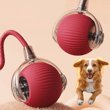 ChaseBall™ - De interactieve speelbal die verveling doorbreektMaison Pets5706614126875-V2Rood