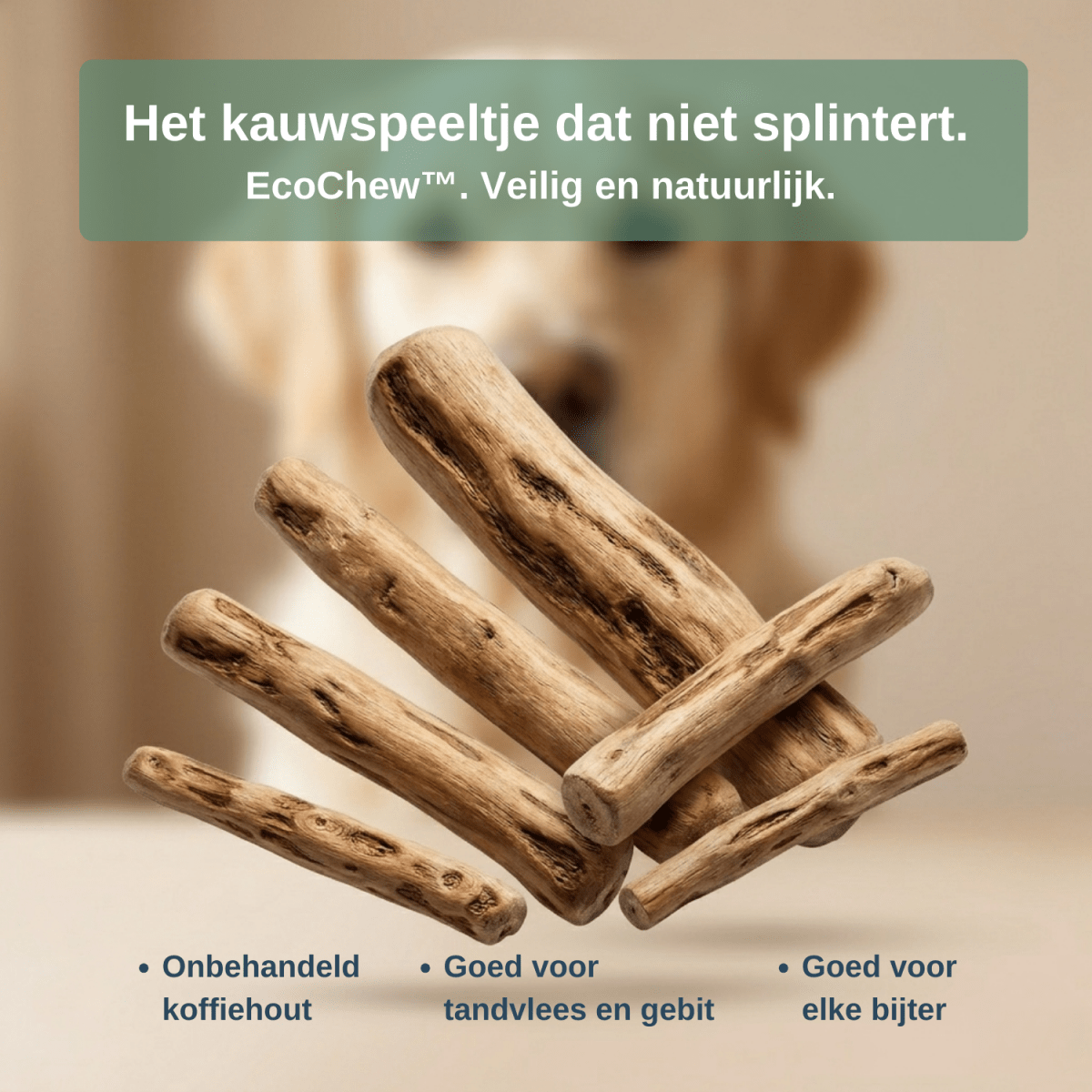 EcoChew™ - Veilig kauwen. Gezond gebit. Minder stressMaison Pets1005007493820438-WHITE-XXSNaturelXXS