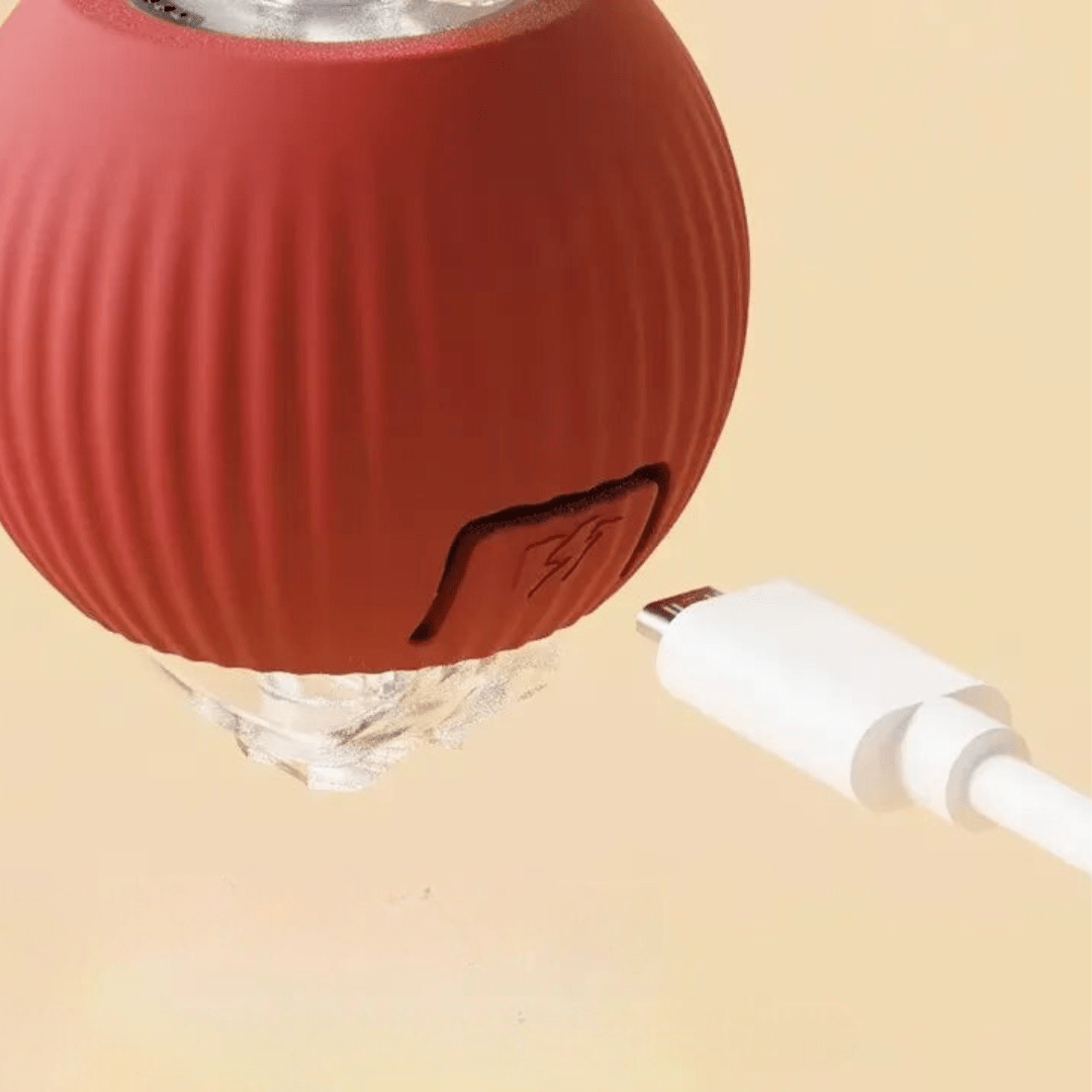 ChaseBall™ - De interactieve speelbal die verveling doorbreektMaison Pets5706614126875-V2Rood
