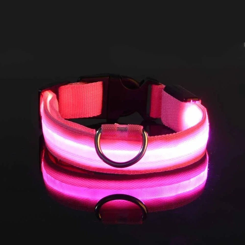 LumiGuard™ LED Halsband - Veilig en zichtbaar in het donkerMaison Pets22371VD1762219582-XS-28-38cmRozeXS (nekomvang: 28 - 34cm)